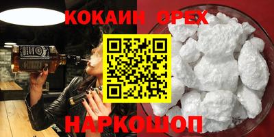 индика Камышлов