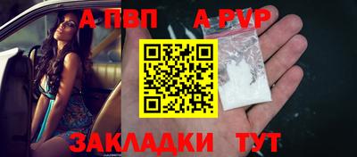 индика Камышлов