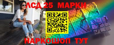 индика Камышлов