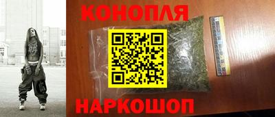 индика Камышлов