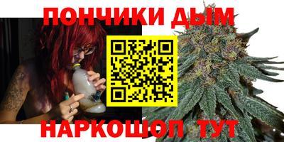 индика Камышлов