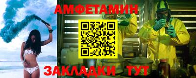 индика Камышлов