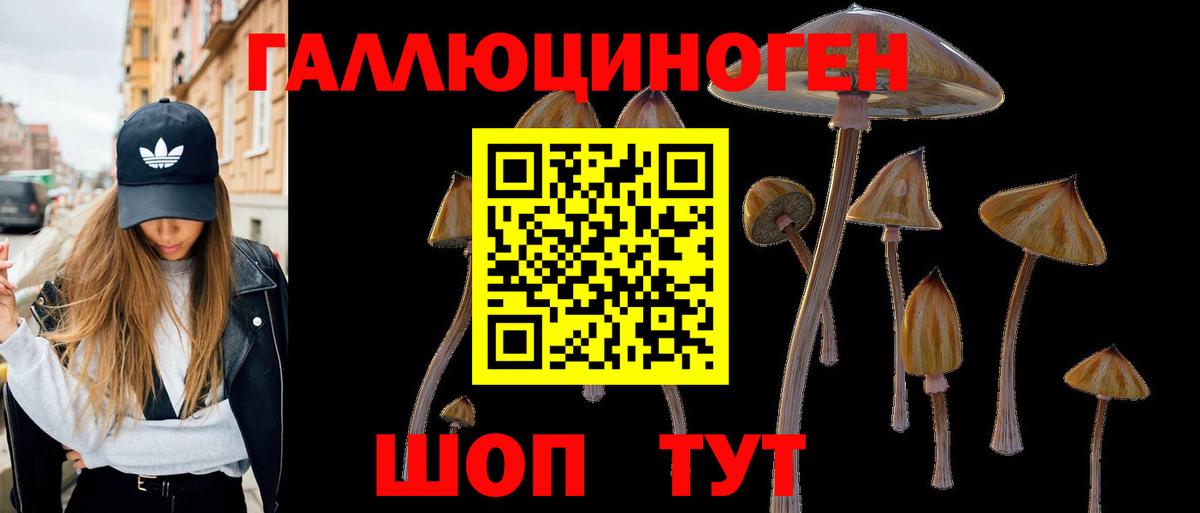 Галлюциногенные грибы Psilocybe Когалым